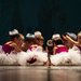 Academia de Dans Ballet Art - Cursuri de balet pentru copii si adulti
